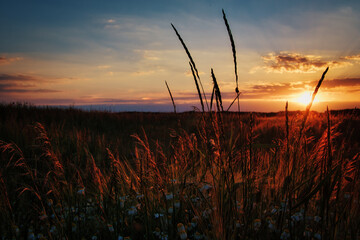 Feld - Wolken - Landschaft - Ecology - Field - Nature - Concept - Environment - Golden - Sunset -...