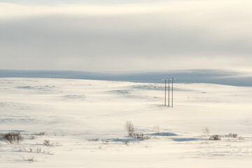 line in the snow