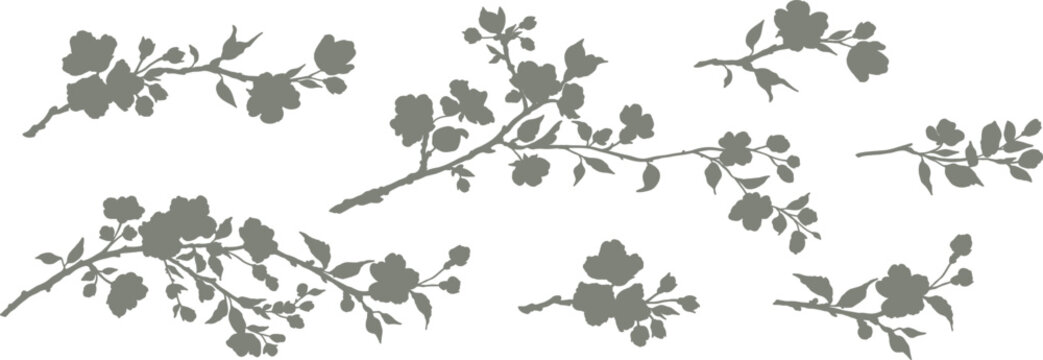 Spring set of flowering branches. Hand drawn sakura branch with flowers in silhouette style. Vector botanical isolated illustration in black color.