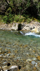 田舎を流れる清流