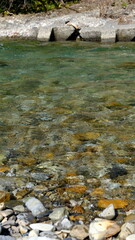 田舎を流れる清流