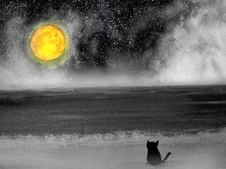 painting sea landscape a lonely black cat in the beach looking at the moon through. - 758664958