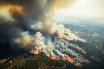 AI generative images. Aerial view on the wildland forest fires. Environmental issues concept