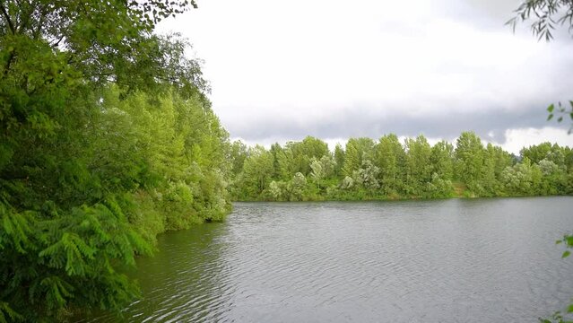 Lush green foliage of trees surrounding a lake in Bela Crkva in cloudy day
