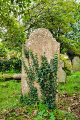 Grabstein mit Efeu bewachsen auf einem alten Friedhof in Cornwall 