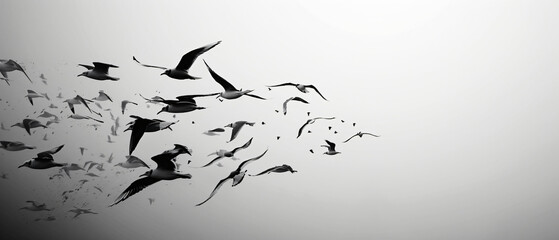 A group of birds flying through the air together 