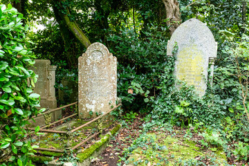 Zugewachsene Grabsteine auf einem alten Friedhof in Cornwall 