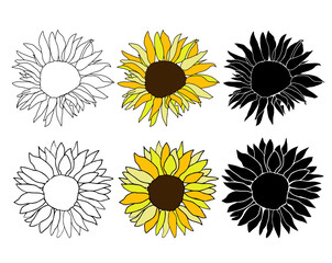 Sunflower head hand drawn elements set for design. Silhouette, line art black ink and colorful flower. Vector clip art for logo, coloring page, isolate on white background