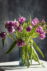 bouquet of lilac tulips on a gray background.