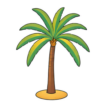 Palm Tree Hand Drawn Cartoon Style Illustration