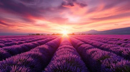 Papier Peint photo Lavable Aubergine Stunning landscape with lavender field at sunset. copy space for text.