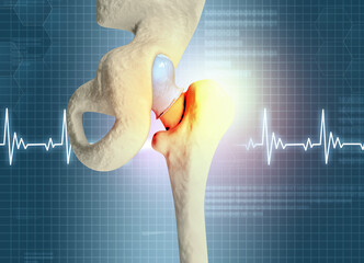 Human hip joint anatomy on scientific background. 3d illustration.