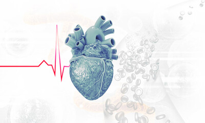 Human heart on ecg graph background. 3d illustration..