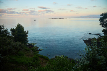 Large fish farms in the sea or ocean. Breeding fish for food.