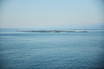 Large fish farms in the sea or ocean. Breeding fish for food.