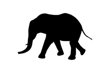 African Bush Elephant Black Silhouette Vector 