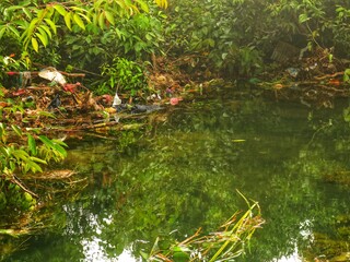 clear river water with a landscape of white sand, aquatic plants, tropical rainforest, small fish, and a very clear river in front. beautiful view