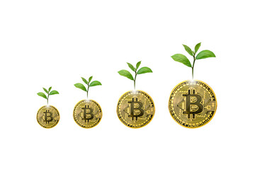 Crypto prices rise up positive with the symbol of tree growth. Bitcoin cryptocurrency value new...