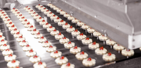 Conveyor line for production cookies at confectionery factory. Modern plant for biscuit.