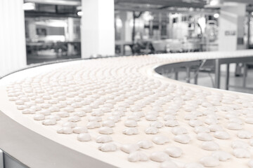 Conveyor line for production gingerbread cookies with white glaze at sweet factory. Modern plant...