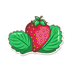 hand draw strawberry fruit illustration art