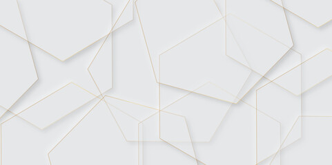 Abstract gray geometric modern hexagon background Neomorphs design. hexagon shape overlaps design abstract Minimal style white neomorphism website banner, Vector business presentation background.