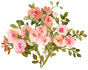 Vintage French roses bouquets watercolor illustrations - 758690588