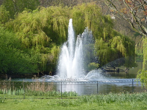 Fontaine dans un grand parc londonien
