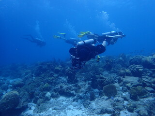 Naklejka na ściany i meble scuba diving underwater world 