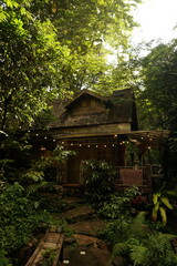 Fototapeta premium wooden house in the woods