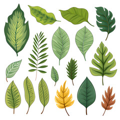 Fototapeta na wymiar Set of tropical leaves, vector, watercolor, variety, ornamental, transparent background