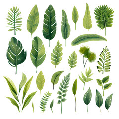 Set of tropical leaves, vector, watercolor, variety, ornamental, transparent background - obrazy, fototapety, plakaty