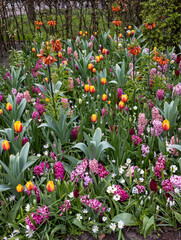 The abundance of colors and scents of various species of flowers blooming in the spring garden