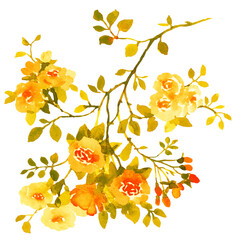 Vintage yellow gold roses bouquets. Watercolor illustration - 758698531