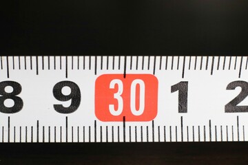 スケール・コンベックスの拡大写真30cm
