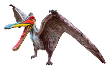 Cearadactylus is a genus of large anhanguerid pterodactyloid pterosaurs from the Early Cretaceous...