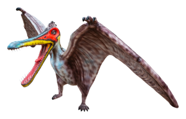 Cearadactylus is a genus of large anhanguerid pterodactyloid pterosaurs from the Early Cretaceous period