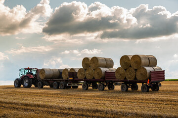 Fototapeta premium Red tractor towing a trailer loaded with round hay bales across a golden agricultural field