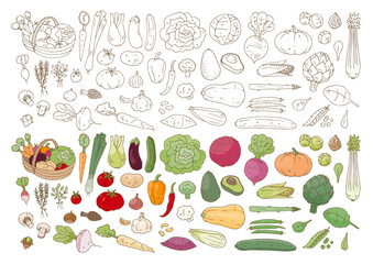 Légumes illustrés