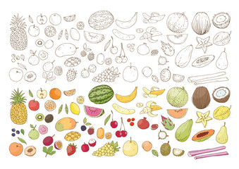 Fruits illustrés