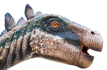 Head of Tuojiangosaurus (Tuo River lizard) is a genus of herbivorous stegosaurid dinosaur from the Late Jurassic Period © Around Ball