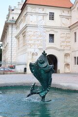 fountain with fish in the fountain