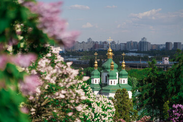 Kiev Botanical Garden in spring time with bright lilac trees. Kiev, Ukraine