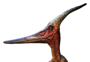 Pteranodon is a genus of Pterosaur and lived during the late Cretaceous period