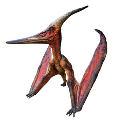 Pteranodon is a genus of Pterosaur and lived during the late Cretaceous period © Around Ball