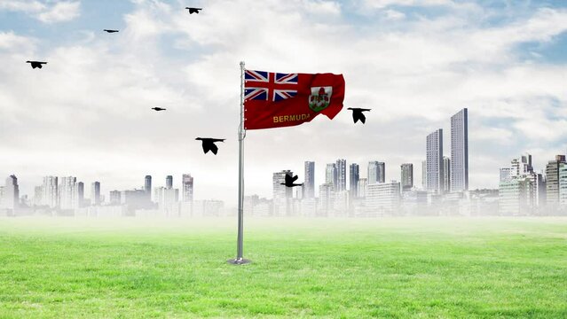 The flag of Bermuda is flying and the birds are flying with it