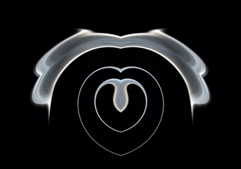 creative photos with smoke, symmetrical abstract photography of shapes acquired by smoke emulating the form of the female sex, on a black bacground