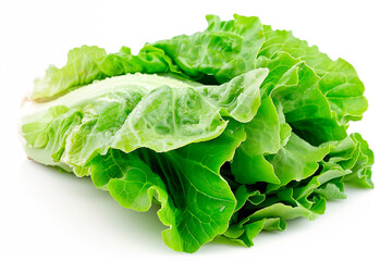 Cos Romaine lettuce isolated on white background. Fresh green salad leaves from garden - obrazy, fototapety, plakaty