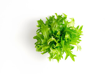 Bibb lettuce isolated on white background. Fresh green salad leaves from garden - obrazy, fototapety, plakaty