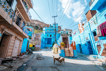 jodphur, india. 15th october, 2023: street view of jodphur blue city, india